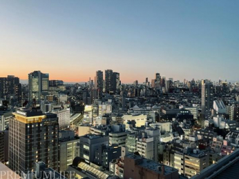 �@�X����]�ł��鎺������̒��]