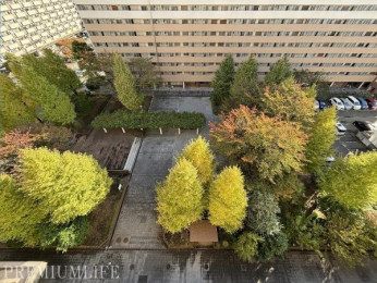 @ΖLȒ]́BlG̈ڂ낢ȂA₩ȎԂ߂܂B