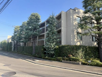 @L~nɐA͂AŎRg߂ɊZłB  