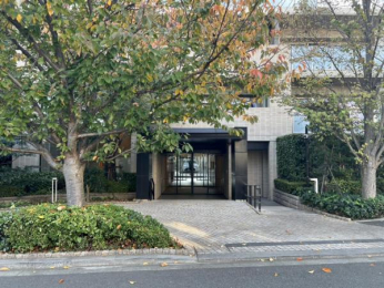 @A̗͂΂N₩ȁAGKgȕ͋CYGgXo}B