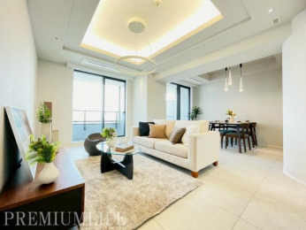 �@�傫�ȑ���������������ޖ��邢���r���O