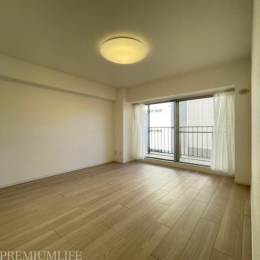 �@������h������������ǂ��A���ʂ����ǂ������B