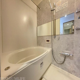 �@�傫�ȋ��A���������@�@�\�����ځB1���̔�������闁���ł��B