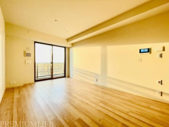 �@�̌����������邢���r���O���[��