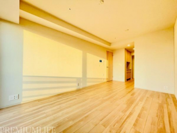 �@13�����̍L�X������胊�r���O