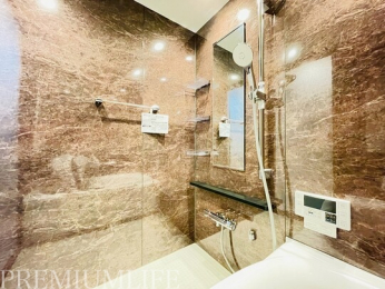 �@�������̂��闁���Ŕ�������܂��B