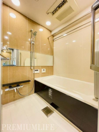 �@����̔�������������o�X���[��