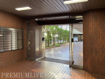 �@���������ӂ��G���g�����X����炵���ʂ�