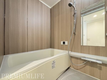 �@����̔�������������o�X���[��