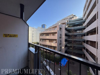 �@����Ɋ��Y�������������i�F������