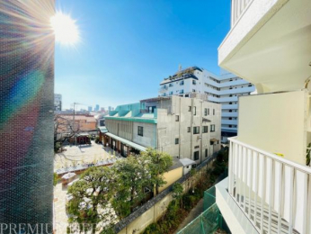 �@���邢���̓����鎺������̒��]