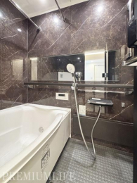 �@����̔�������������o�X���[��