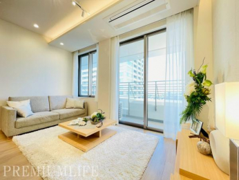 �@�傫�ȑ���������������ޖ��邢���r���O