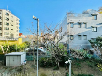 �@�X���݂ɓ���񂾗΂̕��i���y���߂鎺������̒��]