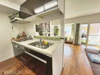 �@�l�C�̑ΖʃL�b�`���ł��B���Ƒ��̗l�q�����Ȃ��炨�����ł��܂��B