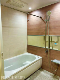 �@�������Ƃ��������ŁA����̔����������胊�t���b�V���B