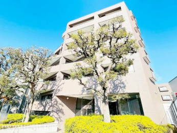 �@�����������Z��X�Ɍ��}���V�����B���ӂɔ����{�݂������A��炵�₷���Z��