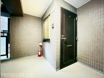 �@���p���͐����ɕۂ���A���X�̕�炵�����K