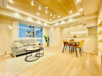 �@������̍̌��ɁA�_�E�����C�g��Ɩ��������薾�邢���r���O