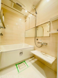 �@�傫�ȋ��A�V�����v�h���b�T�[�t���̗���