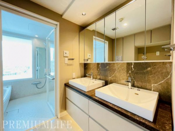 �@�z�e�����C�N�ȍ������Ɛ��������Y���A���ʑ����������Ƃ肠����ʋ��