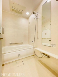 �@����̔�������������o�X���[���B