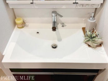 �@�傫�Ȑ��ʑ�Œ��̎x�x���X���[�Y��