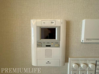 �@�y���j�^�[�t���C���^�[�z���z