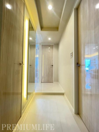 �@��炵�̑���ۂ��ʂ鐴�������錺��