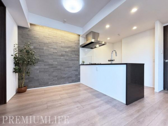 �@�A�N�Z���g�N���X�ƊԐڏƖ������������a�����A�܂�Ń��f�����[���̂悤�Ȑ������