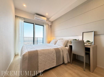 �@���邢�������������Ղ荷�����ށA�S�n�悳�ɕ�܂ꂽ���K�ȗm��