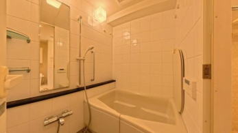 �@���������ӂ������f�U�C���ŁA�������Ƃ��낰�闁�����