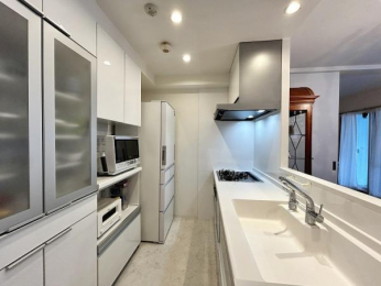 �@�g������̗ǂ��V�X�e���L�b�`���ŁA�����X�y�[�X����Ƃ肪����܂��B