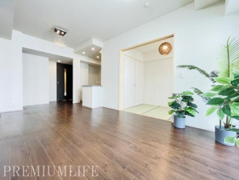 �@�傫�ȑ�����z�����~�蒍���A�J�������ӂ�閾�邢�㎿�ȃ��r���O���