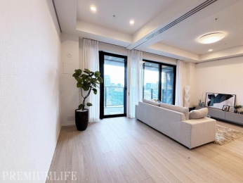 �@��������������ƊԐڏƖ������������a�����A�܂�Ń��f�����[���̂悤�Ȑ������