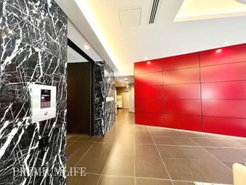 �@�Z�܂��̑���ۂƂȂ�G���g�����X�́A���S���̂���I�[�g���b�N�d�l