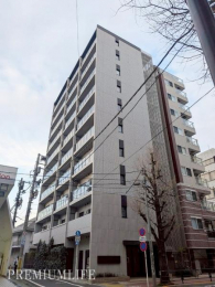 ���n�O�ώʐ^�@2021�N�z�̃X�^�C���b�V���ȊO�ρB�z��Ȃ�ł͂̔������Ƒ��݊�����������Ȃ܂��ł��B