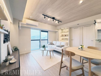 �@��������������ƊԐڏƖ������������a�����A�܂�Ń��f�����[���̂悤�Ȑ������