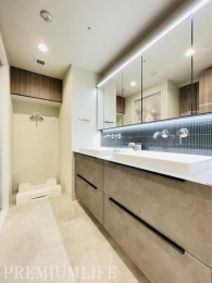 �@�������Ɛ��������Y���A���ʑ����������Ƃ肠����ʋ��