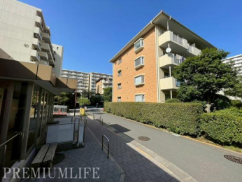 �@�J�������ӂ��c�n�̕~�n���́A�ΖL���ŋC�����̗ǂ������L�����Ă��܂�