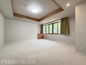 �@�傫�ȑ����玩�R�����L����A�J�����Ɩ��邳�����˔������m��