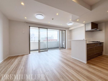 �@�傫�ȑ�����z�����~�蒍���A�J�������ӂ�閾�邢�㎿�ȃ��r���O���