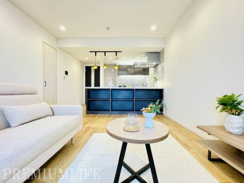 �@�y�V�K�����ρz�J�����̂���݌v�ŁA������S�n�悭�߂�����㎿���